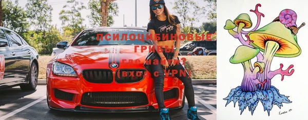 mdma Гусев