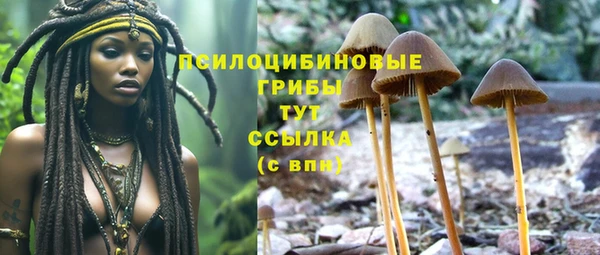 а пвп мука Гусь-Хрустальный